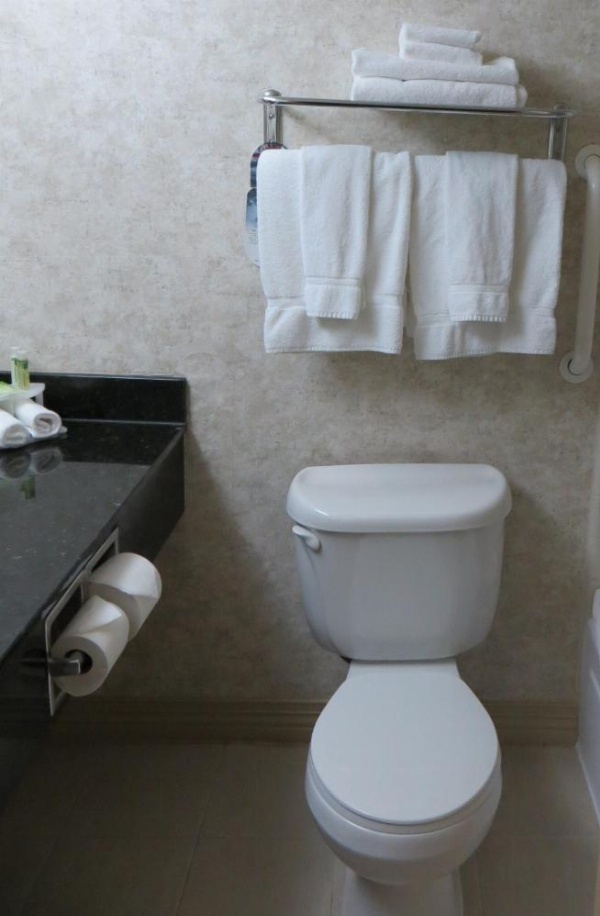Holiday Inn Express Breaux Bridge image 7